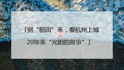 到“稻田”来，看杭州上城20年来“光阴的故事”