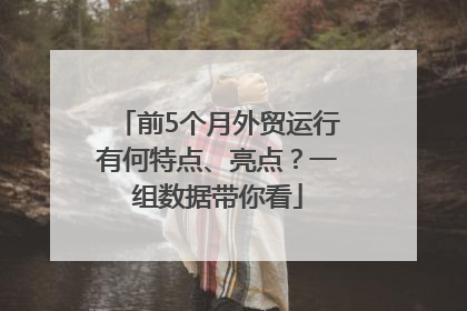 前5个月外贸运行有何特点、亮点？一组数据带你看