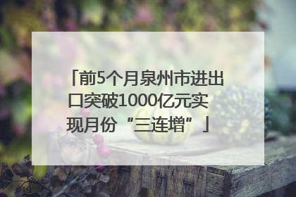 前5个月泉州市进出口突破1000亿元实现月份“三连增”