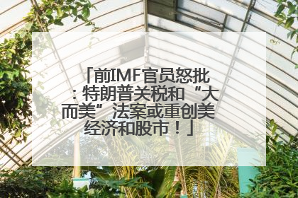 前IMF官员怒批：特朗普关税和“大而美”法案或重创美经济和股市！