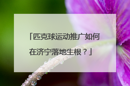 匹克球运动推广如何在济宁落地生根？