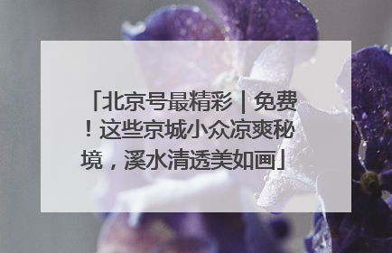 北京号最精彩｜免费！这些京城小众凉爽秘境，溪水清透美如画