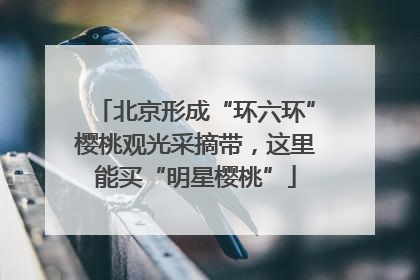 北京形成“环六环”樱桃观光采摘带，这里能买“明星樱桃”