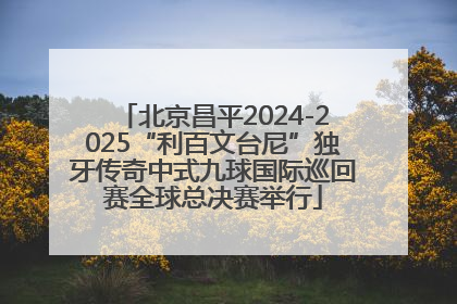 北京昌平2024-2025“利百文台尼”独牙传奇中式九球国际巡回赛全球总决赛举行