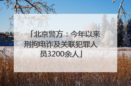 北京警方：今年以来刑拘电诈及关联犯罪人员3200余人