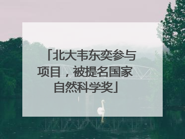 北大韦东奕参与项目，被提名国家自然科学奖