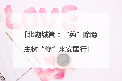 北湖城管：“剪”除隐患树“修”来安居行