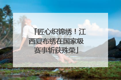 匠心织锦绣！江西夏布绣在国家级赛事斩获殊荣