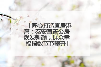 匠心打造宜居港湾：泰安直管公房焕发新颜，群众幸福指数节节攀升