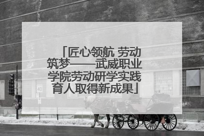 匠心领航 劳动筑梦——武威职业学院劳动研学实践育人取得新成果