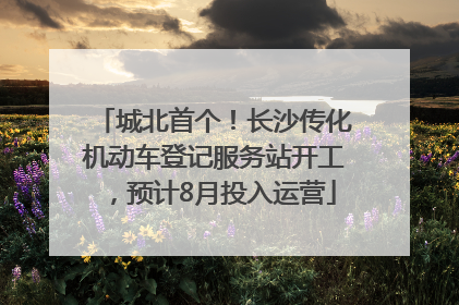 城北首个！长沙传化机动车登记服务站开工，预计8月投入运营
