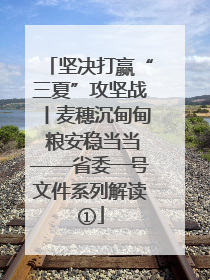 坚决打赢“三夏”攻坚战丨麦穗沉甸甸 粮安稳当当——省委一号文件系列解读①