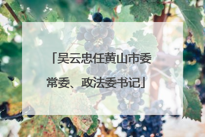 吴云忠任黄山市委常委、政法委书记