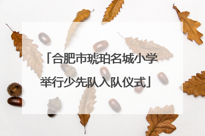 合肥市琥珀名城小学举行少先队入队仪式