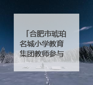 合肥市琥珀名城小学教育集团教师参与“千课万人”数学论坛活动