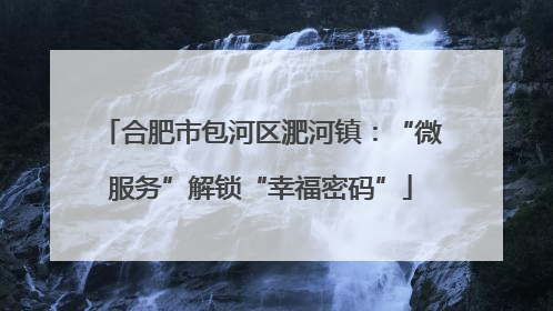 合肥市包河区淝河镇：“微服务”解锁“幸福密码”