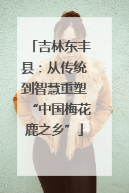 吉林东丰县：从传统到智慧重塑“中国梅花鹿之乡”