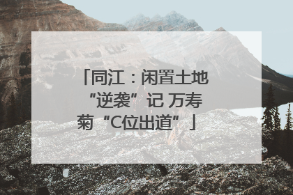同江：闲置土地“逆袭”记 万寿菊“C位出道”