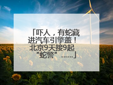 吓人，有蛇藏进汽车引擎盖！北京9天接9起“蛇警”……