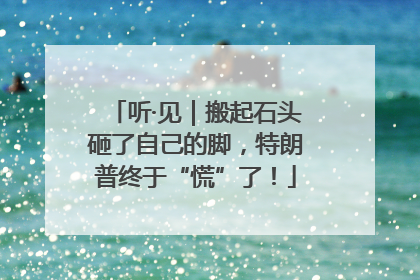 听·见｜搬起石头砸了自己的脚，特朗普终于“慌”了！