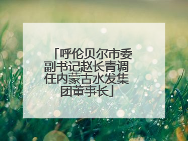 呼伦贝尔市委副书记赵长青调任内蒙古水发集团董事长
