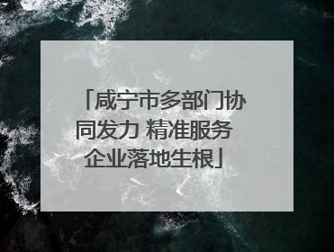 咸宁市多部门协同发力 精准服务企业落地生根