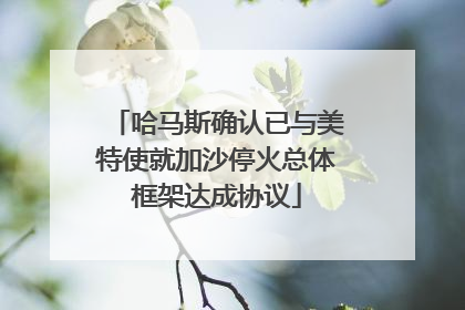 哈马斯确认已与美特使就加沙停火总体框架达成协议
