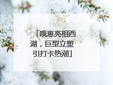 哦崽亮相西湖，巨型立塑引打卡热潮