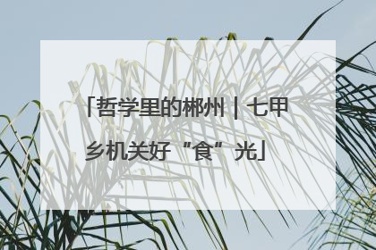 哲学里的郴州｜七甲乡机关好“食”光
