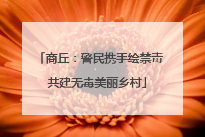 商丘：警民携手绘禁毒 共建无毒美丽乡村