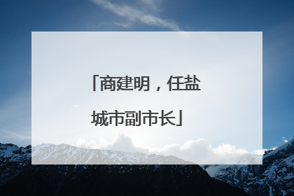商建明，任盐城市副市长