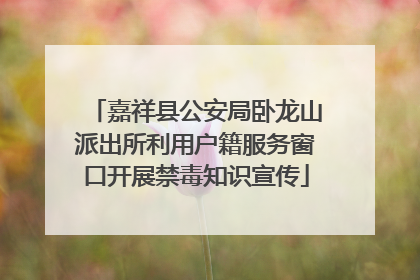嘉祥县公安局卧龙山派出所利用户籍服务窗口开展禁毒知识宣传