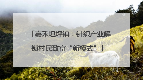 嘉禾坦坪镇：针织产业解锁村民致富“新模式”