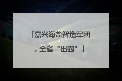 嘉兴海盐智造军团，全省“出圈”
