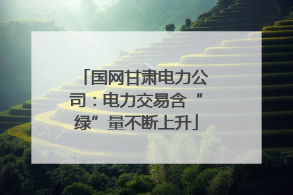 国网甘肃电力公司：电力交易含“绿”量不断上升