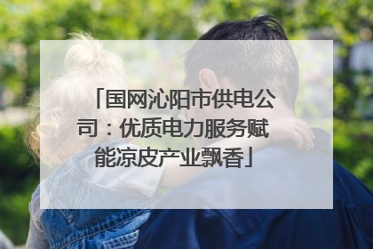 国网沁阳市供电公司：优质电力服务赋能凉皮产业飘香