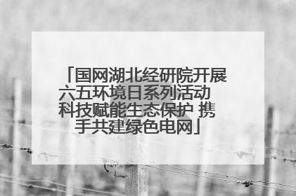 国网湖北经研院开展六五环境日系列活动 科技赋能生态保护 携手共建绿色电网
