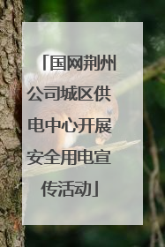 国网荆州公司城区供电中心开展安全用电宣传活动