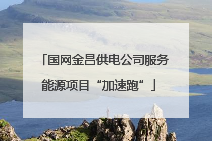 国网金昌供电公司服务能源项目“加速跑”