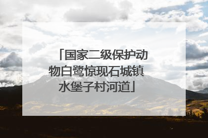 国家二级保护动物白鹭惊现石城镇水堡子村河道