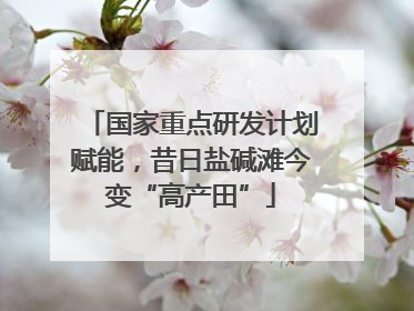 国家重点研发计划赋能，昔日盐碱滩今变“高产田”