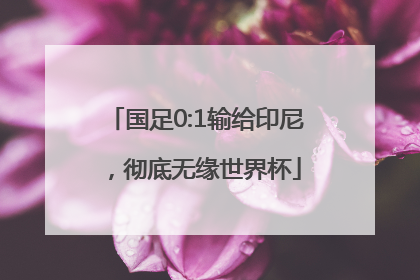 国足0:1输给印尼，彻底无缘世界杯