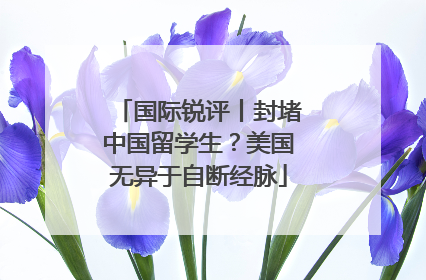 国际锐评丨封堵中国留学生？美国无异于自断经脉