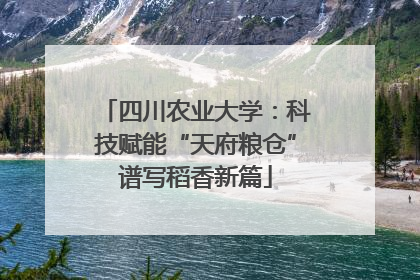 四川农业大学：科技赋能“天府粮仓”谱写稻香新篇
