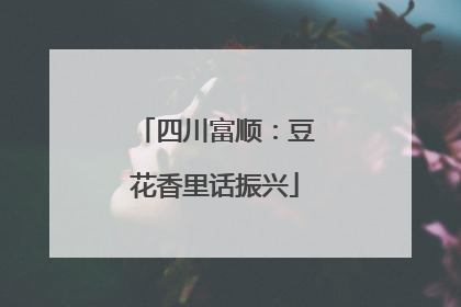 四川富顺：豆花香里话振兴