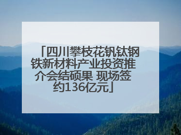 四川攀枝花钒钛钢铁新材料产业投资推介会结硕果 现场签约136亿元
