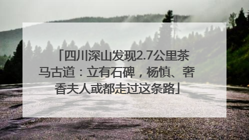 四川深山发现2.7公里茶马古道：立有石碑，杨慎、奢香夫人或都走过这条路