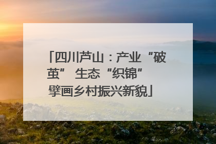 四川芦山：产业“破茧” 生态“织锦” 擘画乡村振兴新貌