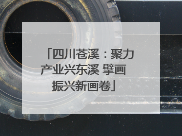 四川苍溪：聚力产业兴东溪 擘画振兴新画卷