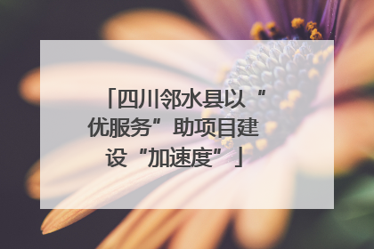 四川邻水县以“优服务”助项目建设“加速度”